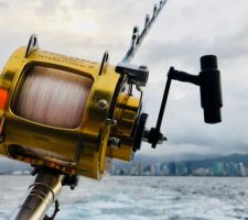Recommendations for Inexperienced Fishers