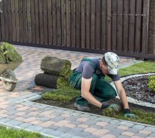 What Are the Latest Trends in Landscape Design?