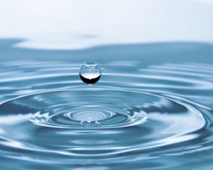 Why Expert Janitorial Cleaning is Essential for Your Business