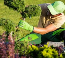 What Are the Top Landscaping Trends That Sell Homes Faster?