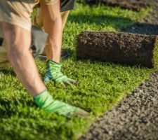 Enhancing Curb Appeal: Effective Landscape Strategies for Property Owners